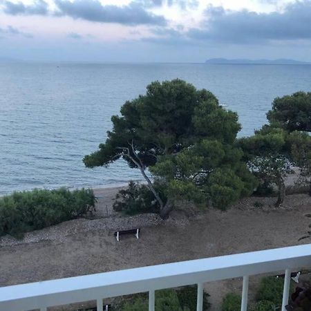 Appartement Les pieds dans l eau, vue sur les Îles d’Or à Hyères Extérieur photo